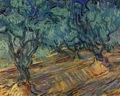 文森特威廉梵高 - 橄榄树林，蔚蓝天空